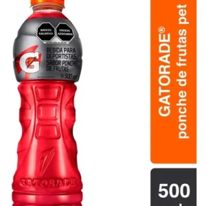Gatorade Ponche de Frutas 600ml