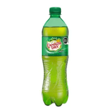 Canada Dry 600ml