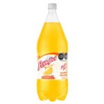 Peñafiel Naranjada 2L