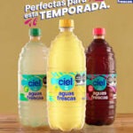 CIEL PIÑA AGUAS FRESCAS
